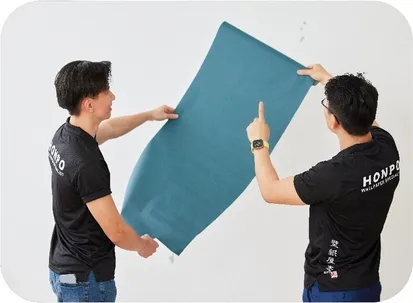 Seek Professional Advice from HONPO Singapore